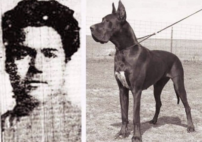  Ann Elizabeth Isham a jej doga